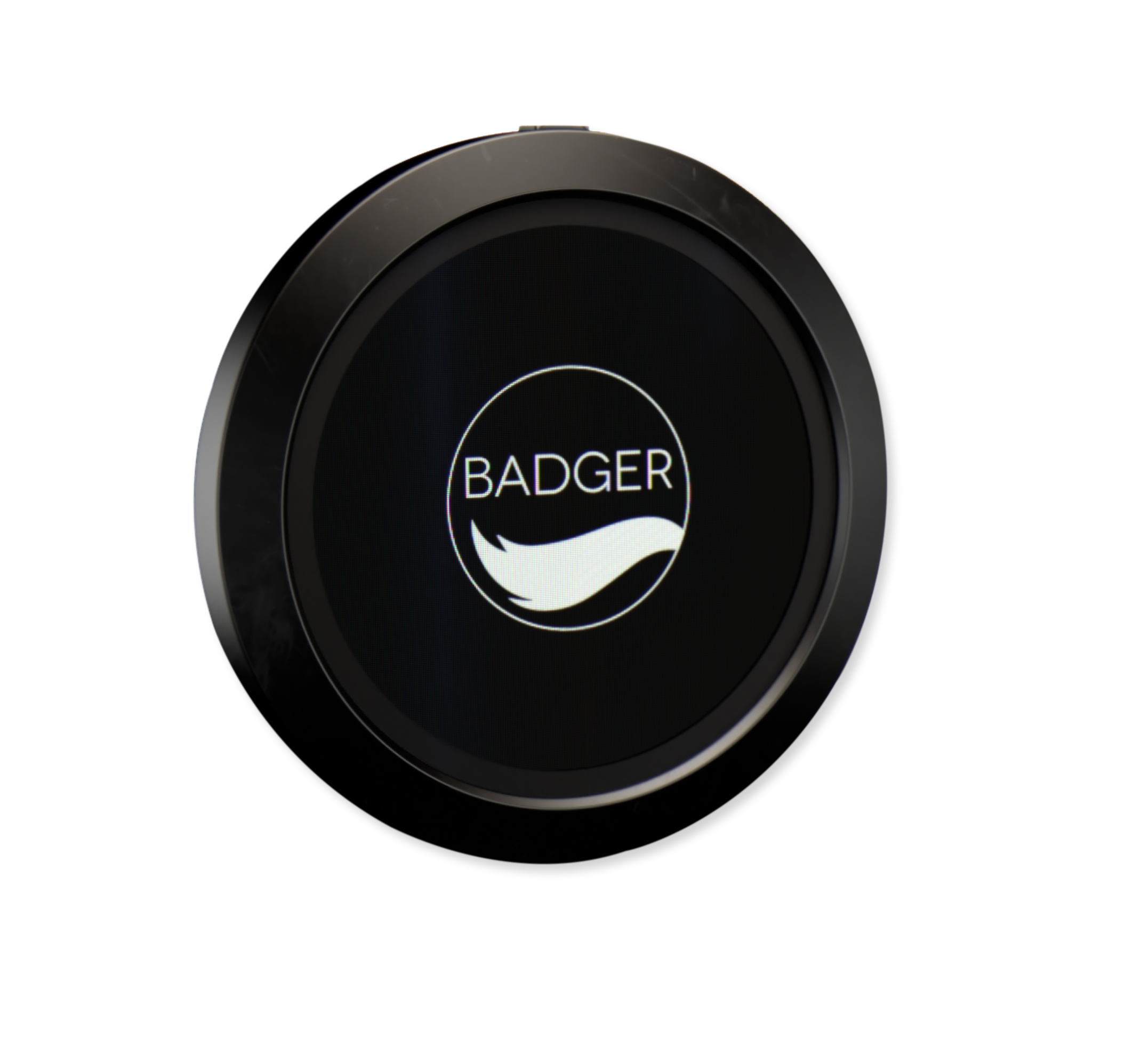 The Badger